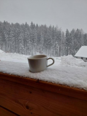 Apartmán Bára, Černý Důl